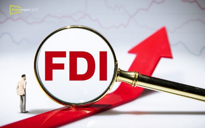 Người nước ngoài muốn đầu tư vào Việt Nam phải thực hiện thủ tục gì? 1 Dinh nghia FDI